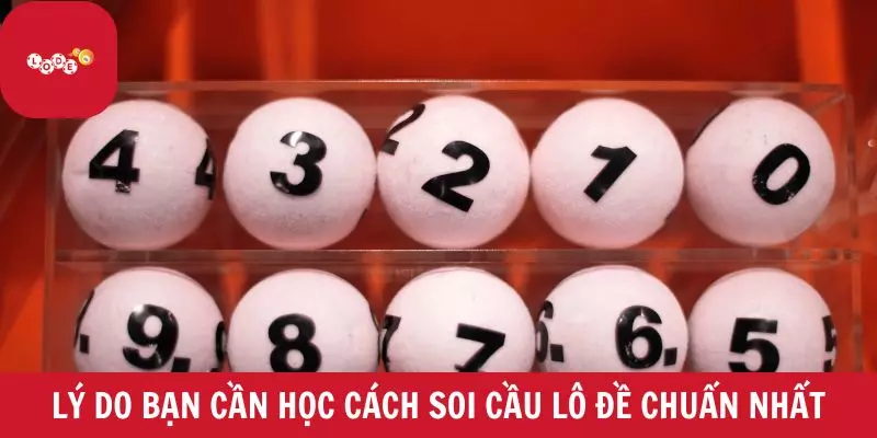 Lý do bạn cần học cách soi cầu lô đề chuẩn nhất