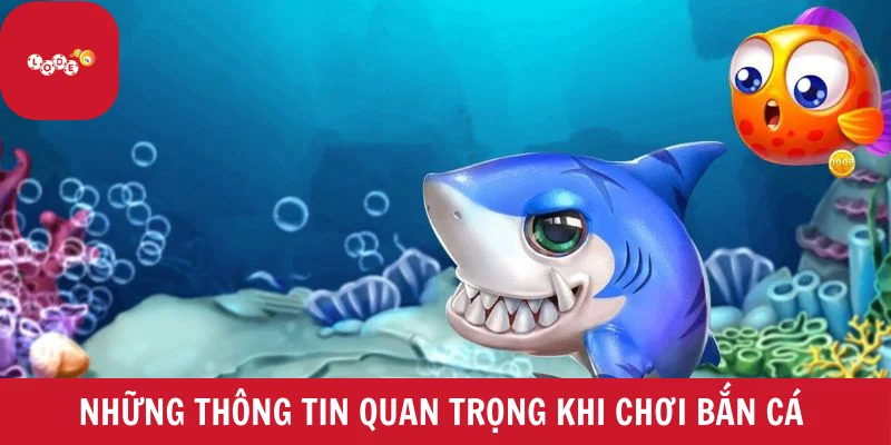 Những thông tin quan trọng khi chơi bắn cá